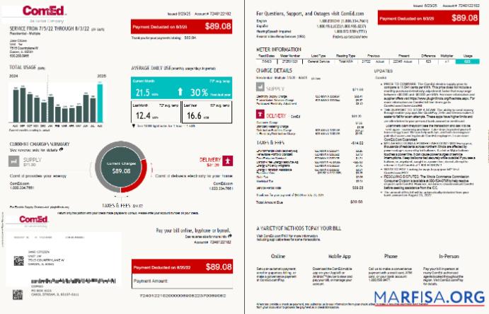 Blank USA ComEd utility bill template in Word and PDF formats, 4 pages, 1 2 pages